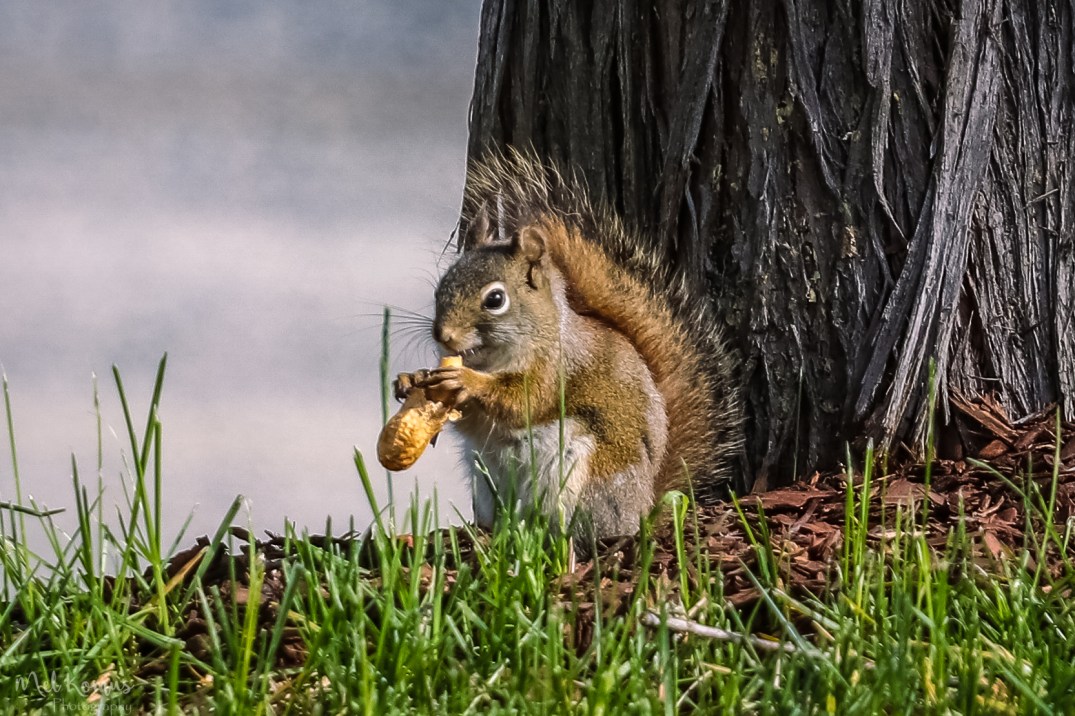 May 23, 2017_IMG_9069-3