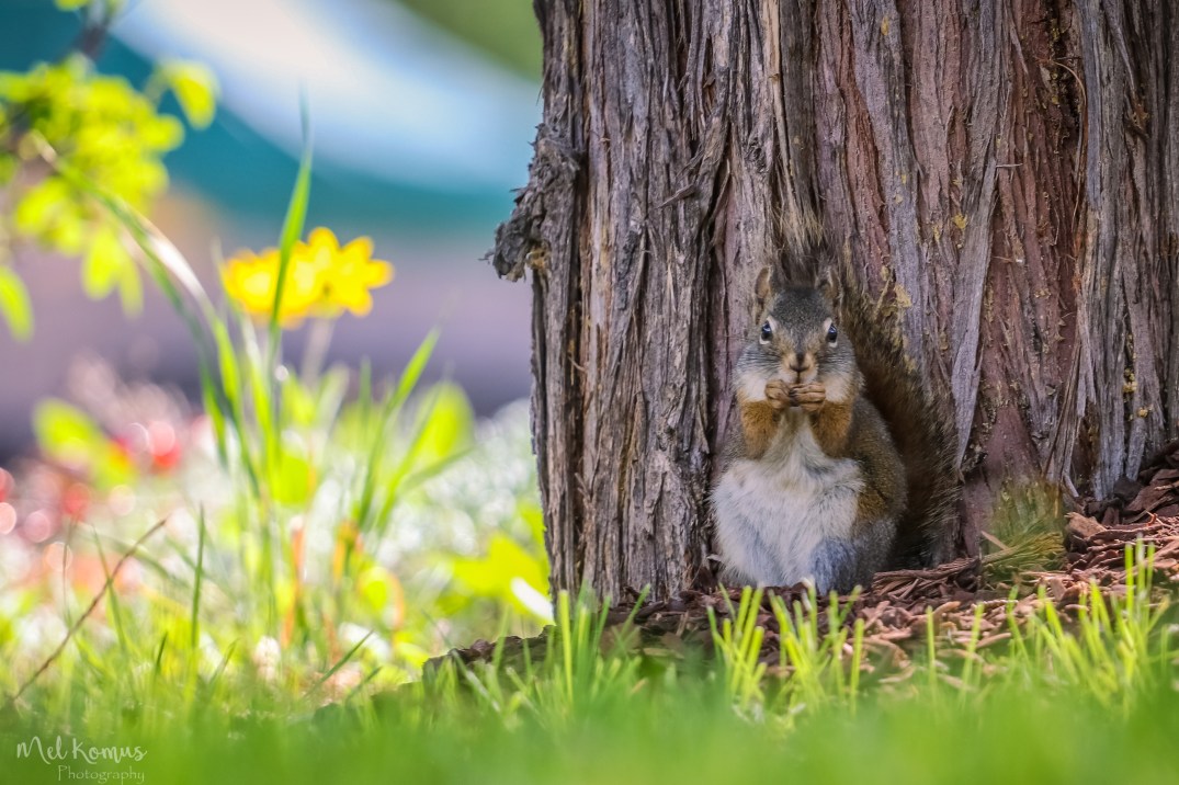 May 23, 2017_IMG_9117-3