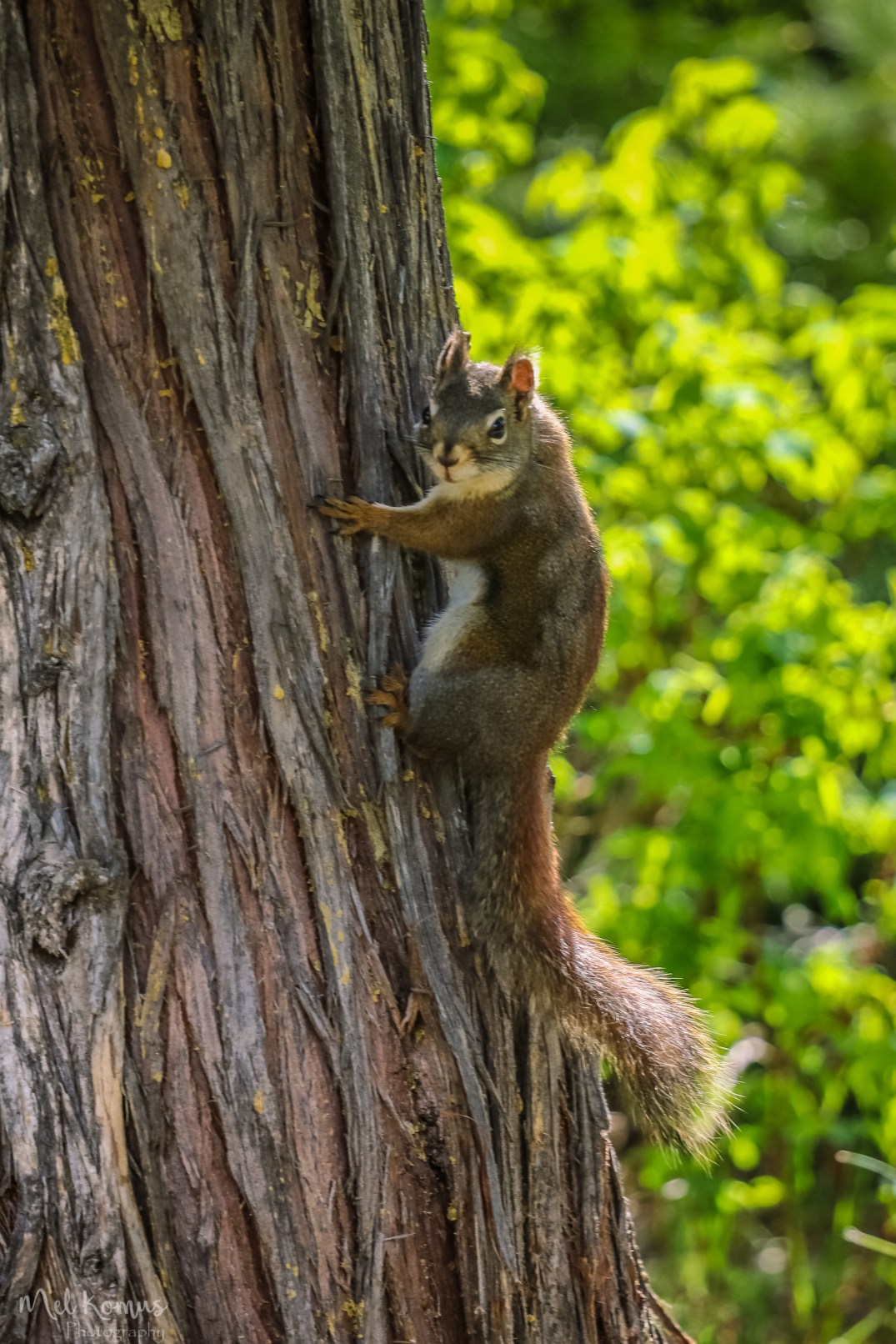 May 23, 2017_IMG_9141-3