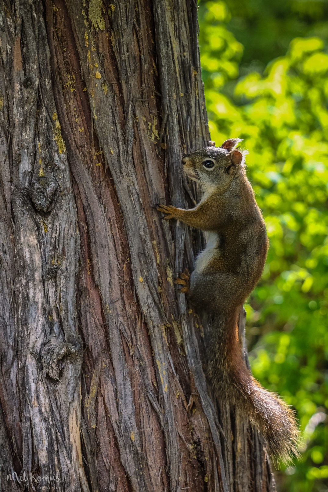 May 23, 2017_IMG_9146-3
