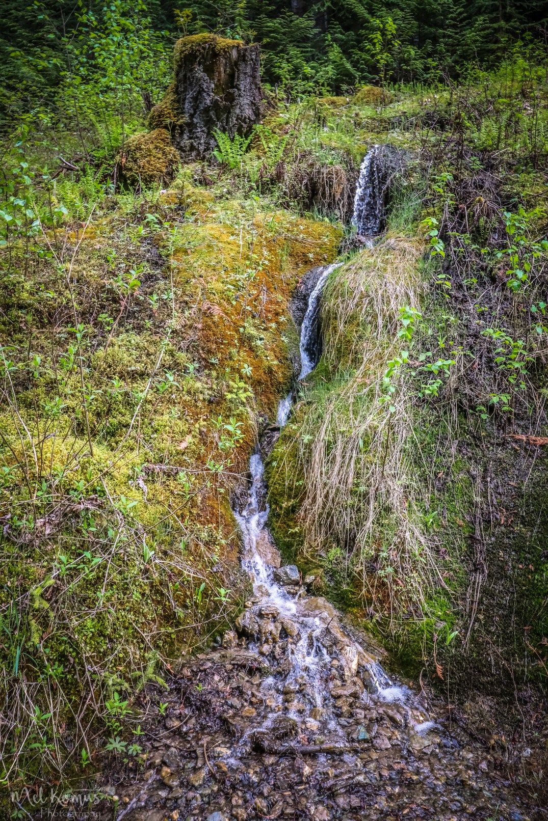 May 24, 2017_IMG_9229-3