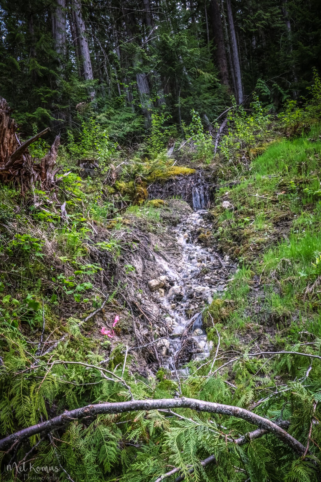 May 24, 2017_IMG_9252-3